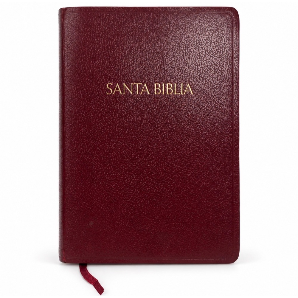 Holman Santa Biblia Reina Valera 1960 LGE Print Burgundy Spanish Bible Genealogy